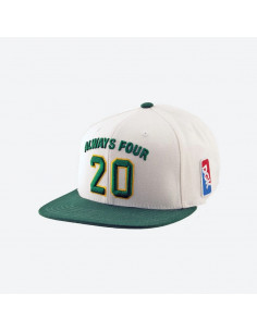 Gorra DGK Team Indica Snapback