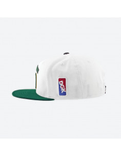 Gorra DGK Team Indica Snapback 2